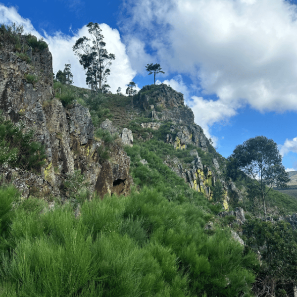30 Minutes From Porto: Waterfalls, Hiking and Picnic - Included Amenities and Gear