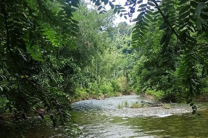 30 Minutes Khaolak ATV Quadbike & Waterfall Adventure - Age and Skill Requirements