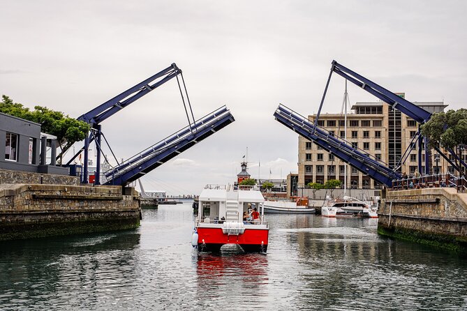 30min Harbour Boat Cruise Cape Town - Traveler Photos and Reviews