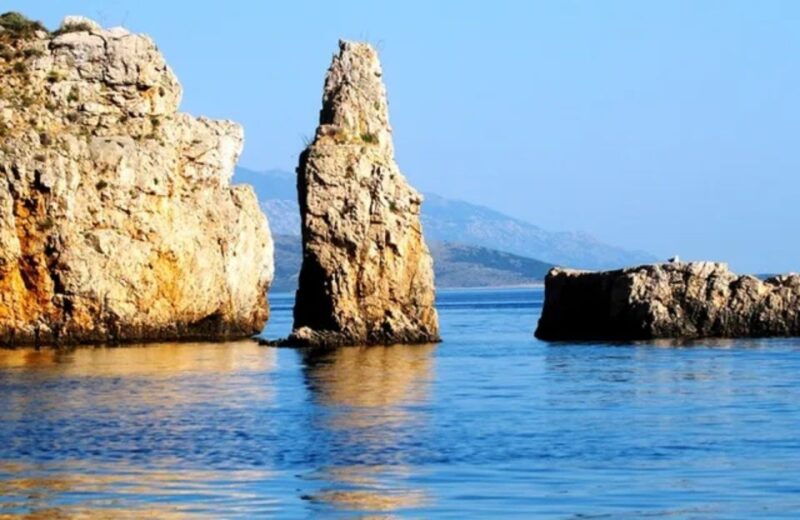 3,5h Wild Bays: Swim & Snorkel with Capt. Bobo (Public) - Good To Know