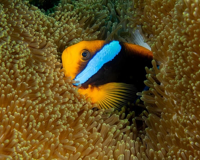 3D/2N Island Hopping Expedition El Nido to Coron or Vice versa - Key points before you book