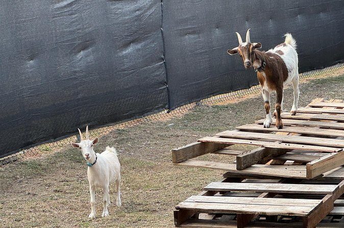 3D Printer Factory Tour plus 2 ft Tall Rocket! - Final Thoughts