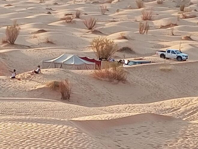3D Sahara Discovery - Expert-Guided Sahara Expedition