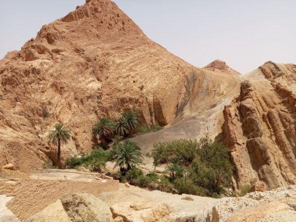 3D Sahara Discovery - The Sum Up
