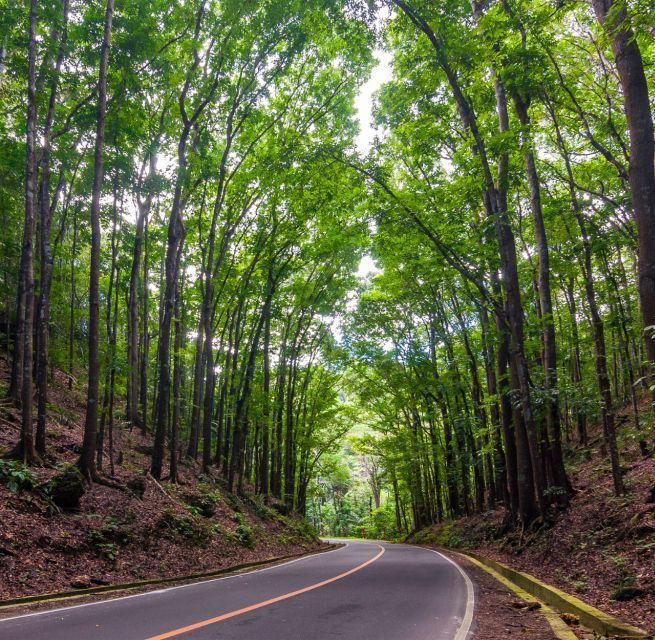 3D2N Bohol Countryside Tour - Day 2: Free Time or Optional Tour