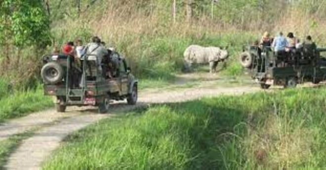 3D2N Chitwan Cultural Heritage Tour From Kathmandu - Optional Activities