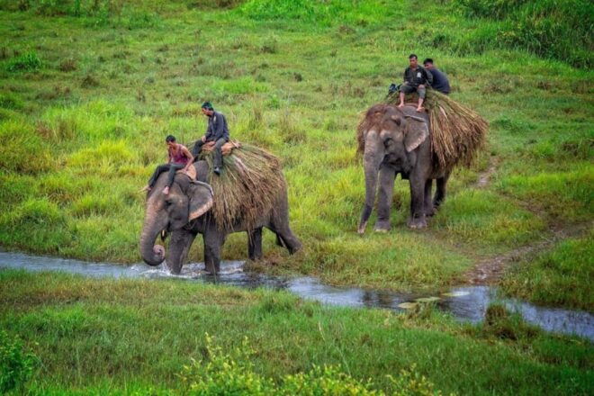 3D2N Chitwan Cultural Heritage Tour From Kathmandu - What to Bring