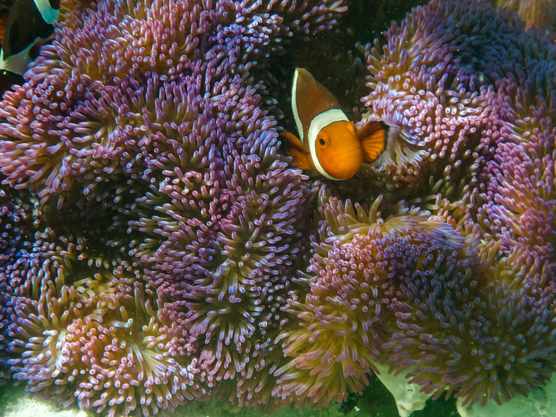 3D2N Clear Waters Expedition in Palawan - Food, drinks, and the practical comforts
