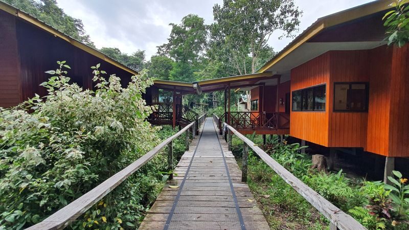 3D2N Discover Kinabatangan River with stay at Bilit Adventure Lodge in Sandakan - The trip at a glance