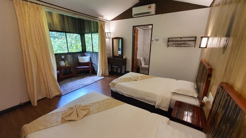 3D2N Discover Kinabatangan River with stay at Bilit Adventure Lodge in Sandakan - Day 2: Early light, a rest, then another cruise