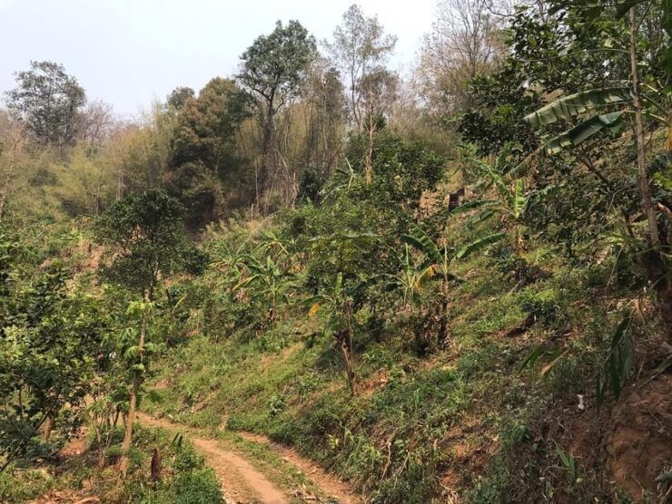 3D2N Eco Cycling, Treckking & Regional Culture Tour - Itinerary Highlights
