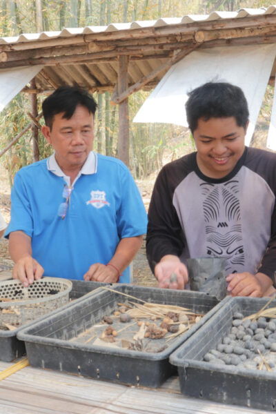 3D2N Eco Cycling, Treckking & Regional Culture Tour - Preparation Tips