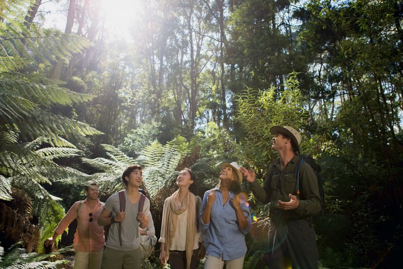 3D2N Great Ocean Road and Grampians Explorer in Melbourne - Two nights, included meals, and room choices