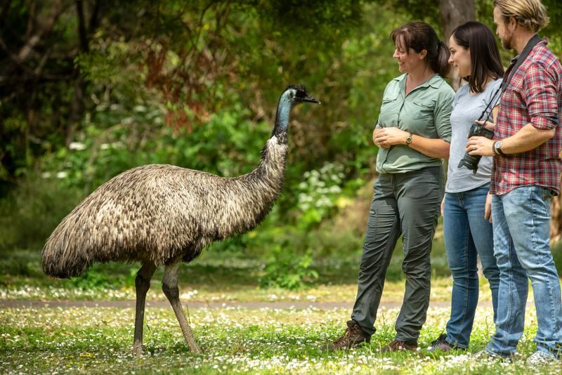 3D2N Great Ocean Road Tour from Melbourne to Adelaide - What the price covers, and what it does not