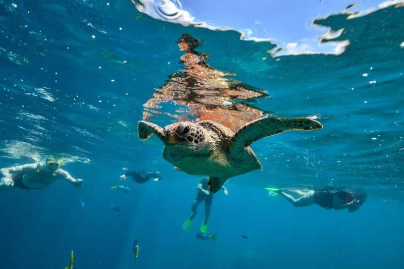 3D2N Island Hoping and The Art of Flores - 10 Destinations - Good To Know