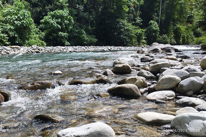 3D2N Jungle Trek | 2 Night accommodation | Pick up and drop off - Authentic Experiences from Past Travelers