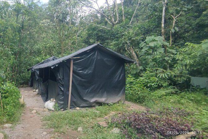 3D2N Jungle Trek | 2 Night accommodation | Pick up and drop off - FAQs