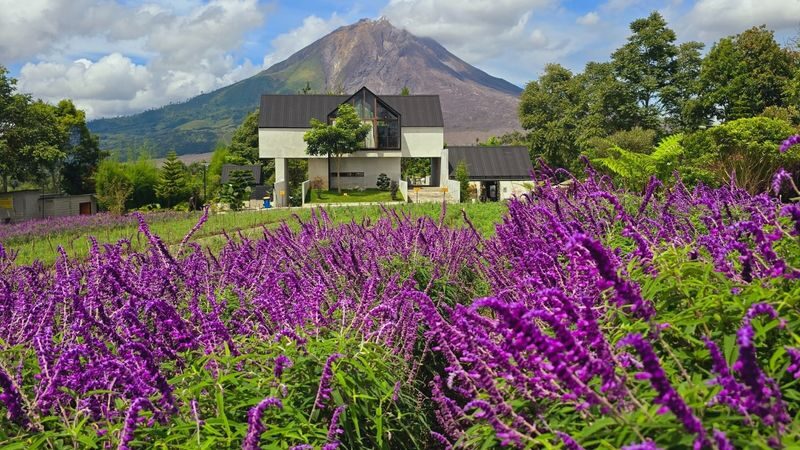 3D2N Lake Toba, Sipiso-piso Waterfall, and Berastagi from Medan - What the private format does well