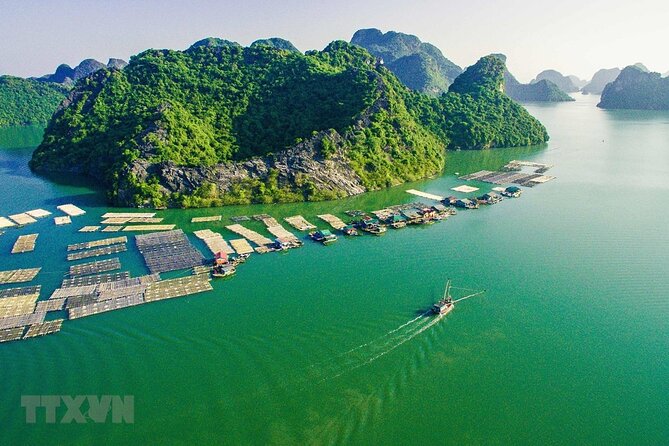 3D2N Lan Ha Bay - Cat Ba Island - Traveler Photos, Reviews, and Questions