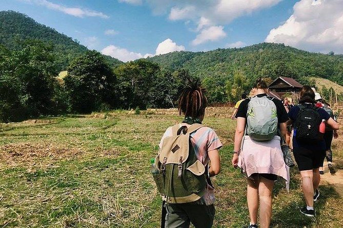 3D2N Mae Wang Jungle Trekking Adventure From Chiang Mai - Overview and Activities
