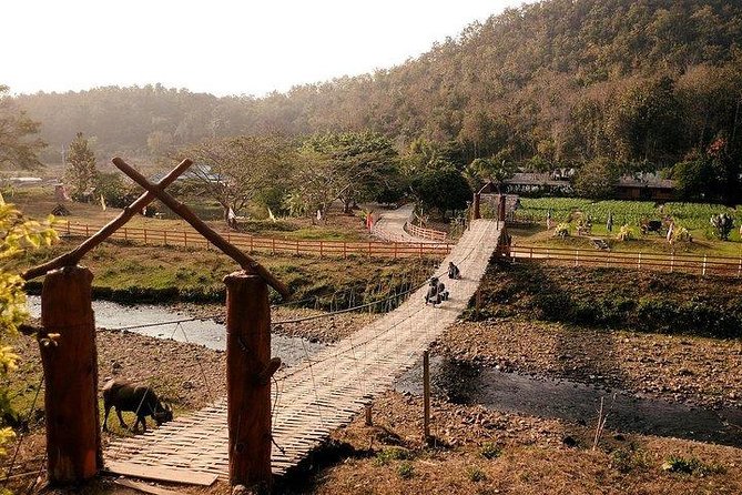 3D2N Mae Wang Jungle Trekking Adventure From Chiang Mai - Tribal Homestays