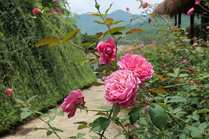 3D2N - Mai Chau Kayaking Biking - Pu Luong Nature Reserve - Common Questions