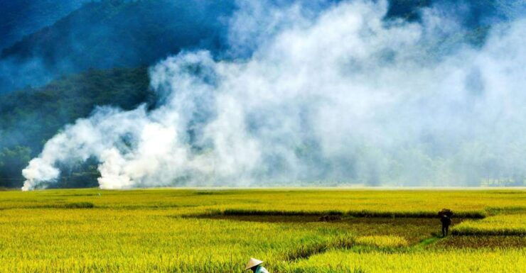 3D2N Mai Chau - Pu Luong for Nature and Culture Lovers - Itinerary: Day 1 - Mai Chau