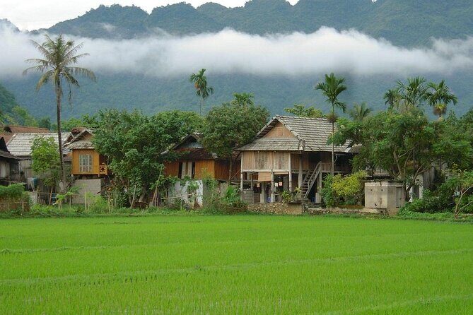 3D2N Mai Chau Pu Luong Hidden Gems of Northern Vietnam - An In-Depth Look at the 3-Day Itinerary