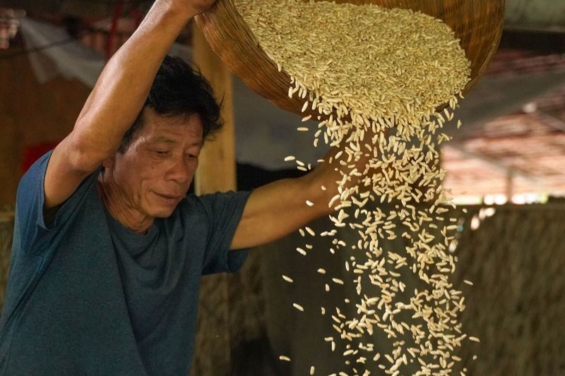 3D2N Mekong: Cai Be, Can Tho, Chau Doc Tour from Ho Chi Minh City - Tra Su Forest: a quieter stretch of the itinerary