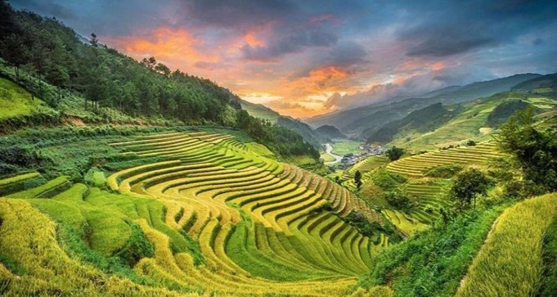 3D2N Sapa Trekking Tour from Ha Noi (Accommodation included) - Who will enjoy this Sapa trek most