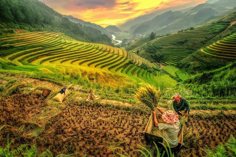3D2N Sapa Trekking Tour from Ha Noi (Accommodation included) - Should you book the three-day Sapa trek?