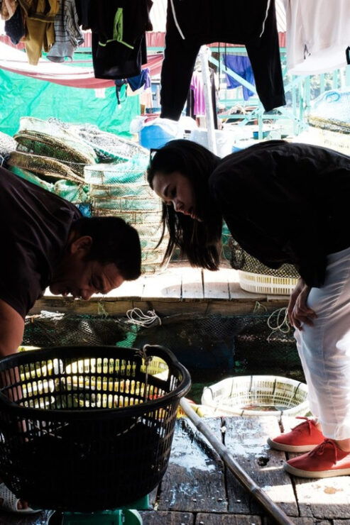 3D2N Venturing Into Cat Ba Archipelagos Wildlife - Good To Know