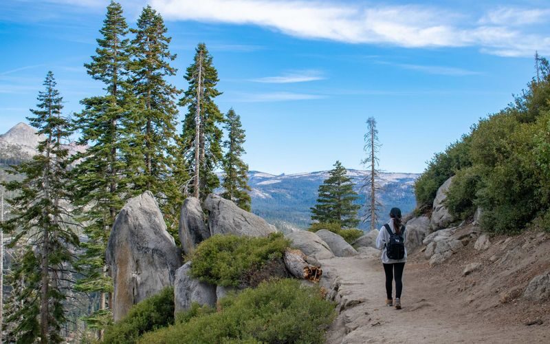3D2N Yosemite Grand Escape Lodging Tour from San Francisco - Who should book this Yosemite trip?