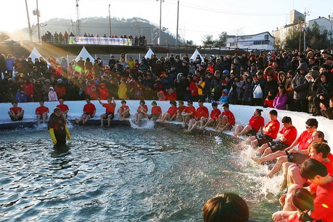 3day Korea Winter Private Tour to Nami, Ski Resort and Ice Fishing Festival - Tour Highlights