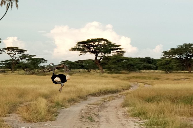 3Days 2 Night Samburu Shaba - Meal Plan