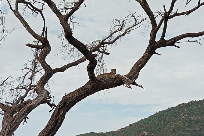 3Days 2 Night Samburu Shaba - Travel Essentials