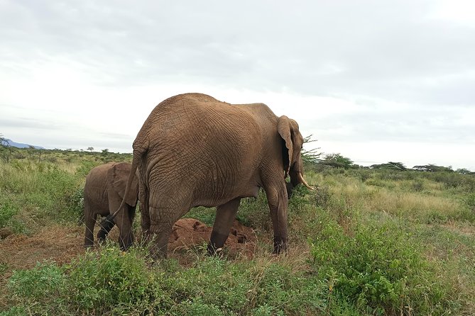 3Days 2 Night Samburu Shaba - Frequently Asked Questions