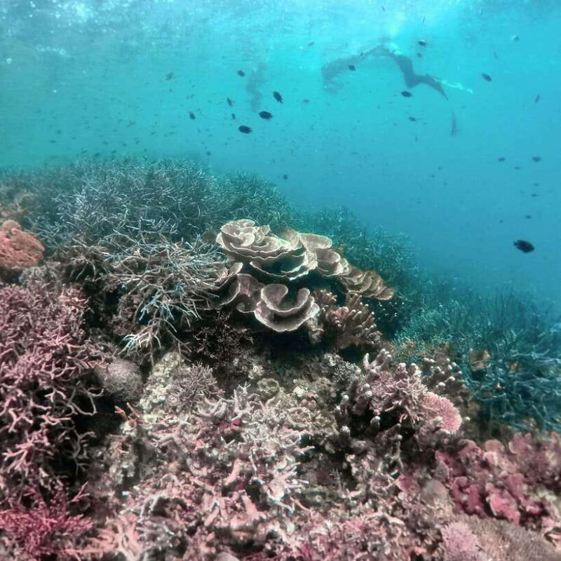 3DAYS AND 2NIGHTS SNORKEL ISLANDS HOPPING EXPEDITION - Why This Tour Offers Great Value