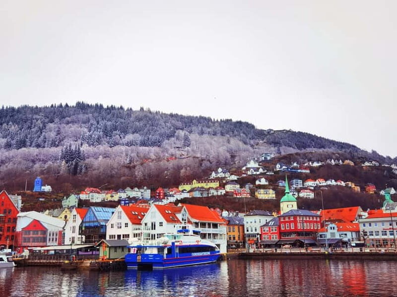 3days Bergen-Hardanger-Flåm-næroyfjord-Oslo(or Preikstolen) - Good To Know