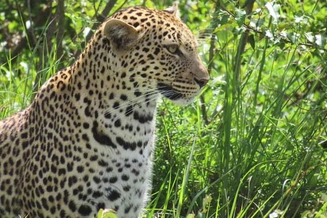 3days Masai Mara Best of Lodge Safari - Inclusions and Exclusions