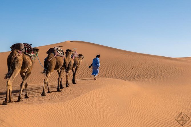 3Days Sahara Tour From Marrakech to Merzouga Desert Luxury Camp - Organization and Comfort