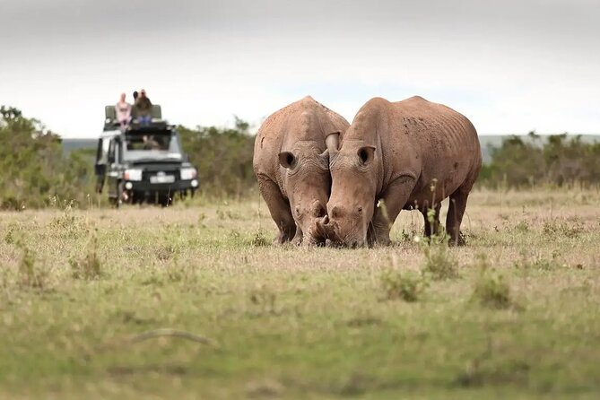 3Days Solio Ranch & Aberdares National Park Luxury Safari on Jeep - Good To Know