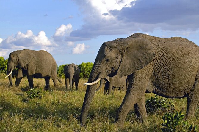 3Days Solio Ranch & Aberdares National Park Luxury Safari on Jeep - Cancellation Policy