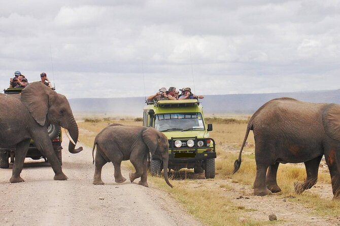 3Days Solio Ranch & Aberdares National Park Luxury Safari on Jeep - Price and Booking Information