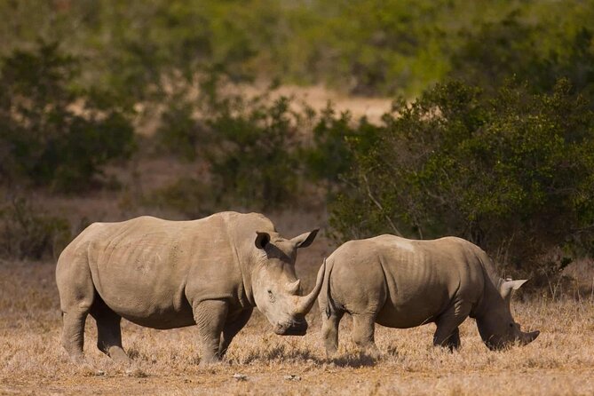 3Days Solio Ranch & Aberdares National Park Luxury Safari on Jeep - Frequently Asked Questions