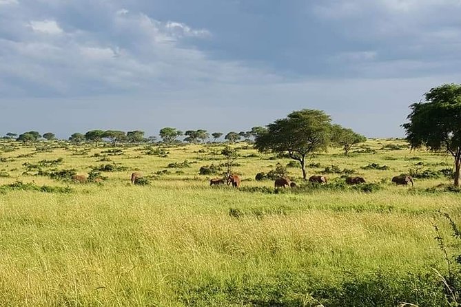 3days Tarangire,Ngorongoro Crater and Lake Manyara - Accommodations and Meals
