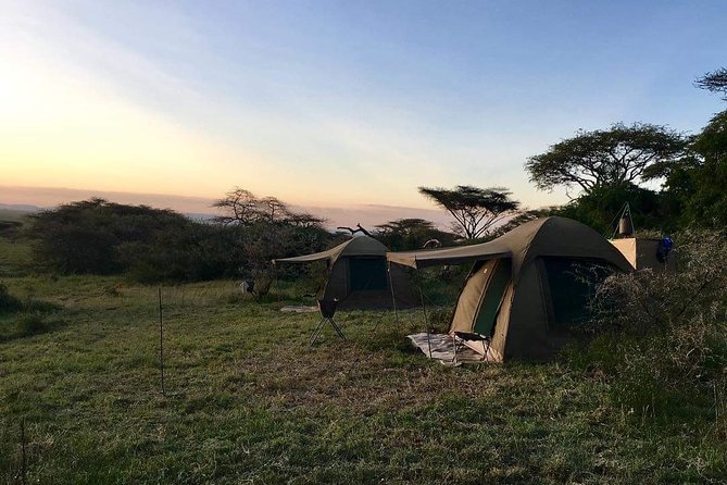 3days Tarangire,Ngorongoro Crater and Lake Manyara - Reviews and Testimonials