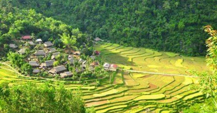 3daytrip:Puluong Nature Reserve -Ninh Binh Great Attraction - Tour Details