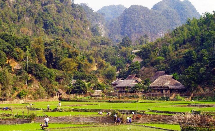 3daytrip:Puluong Nature Reserve -Ninh Binh Great Attraction - PuLuong Nature Reserve