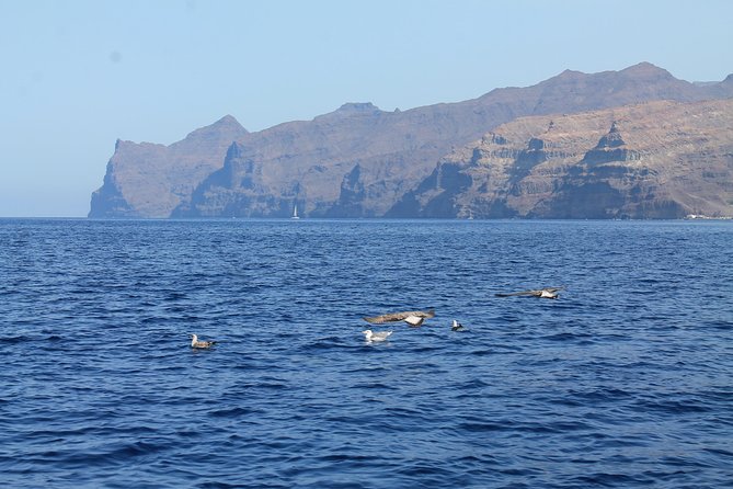 3h Boat Trip Snorkeling in Puerto De Mogan - Positive Reviews